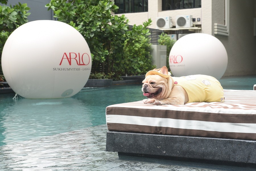 สระว่ายน้ำขนาดใหญ่ที่คอนโด ARLO Sukhumvit 105 – Lasalle คอนโดโซนบางนา